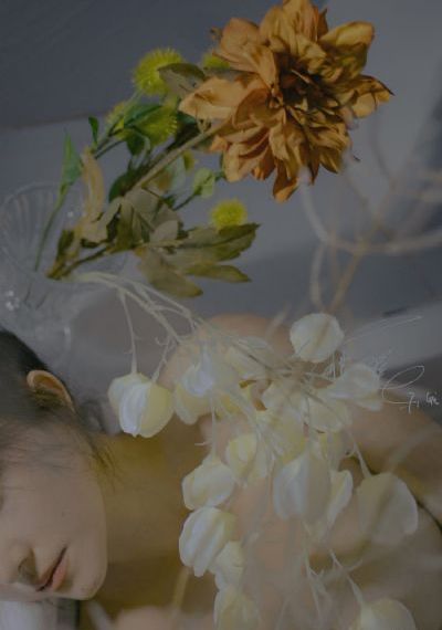 日韩女人地位_土豆网在线观看